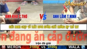 Trận 23 Bồ Gà C5 6/12/2025