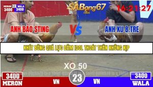 Trận 23 Bồ Gà Tonhon 3/12/2025