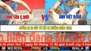 Trận 24 Bồ Gà C5 1/12/2025