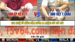 Trận 25 Bồ Gà C5 6/12/2025