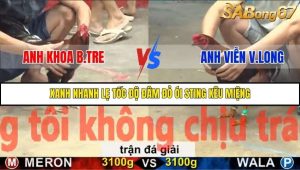 Trận 26 Bồ Gà C5 6/12/2025