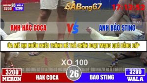 Trận 26 Bồ Gà Tonhon 3/12/2025