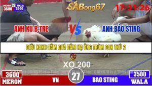 Trận 27 Bồ Gà Tonhon 3/12/2025