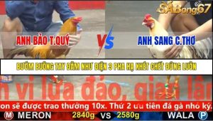 Trận 28 Bồ Gà C5 2/12/2025