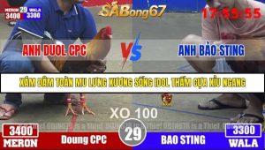 Trận 29 Bồ Gà Tonhon 3/12/2025