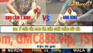 Trận 36 Bồ Gà C5 6/12/2025