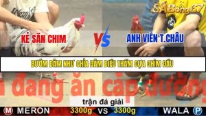 Trận 37 Bồ Gà C5 6/12/2025