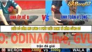 Trận 38 Bồ Gà C5 6/12/2025