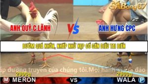 Trận 4 Bồ Gà C4 1/12/2025