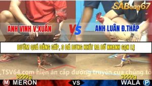 Trận 4 Bồ Gà C4 2/12/2025