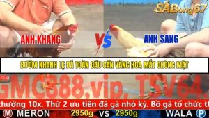 Trận 4 Bồ Gà C5 2/12/2025