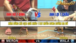 Trận 5 Bồ Gà C4 1/12/2025