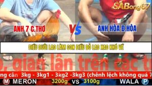 Trận 5 Bồ Gà C5 2/12/2025