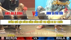 Trận 6 Bồ Gà C4 2/12/2025