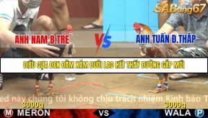 Trận 8 Bồ Gà C4 2/12/2025