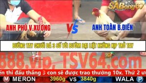 Trận 8 Bồ Gà C5 2/12/2025